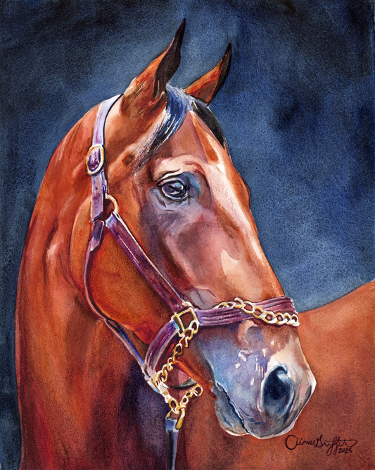 American Pharoah: The Legend