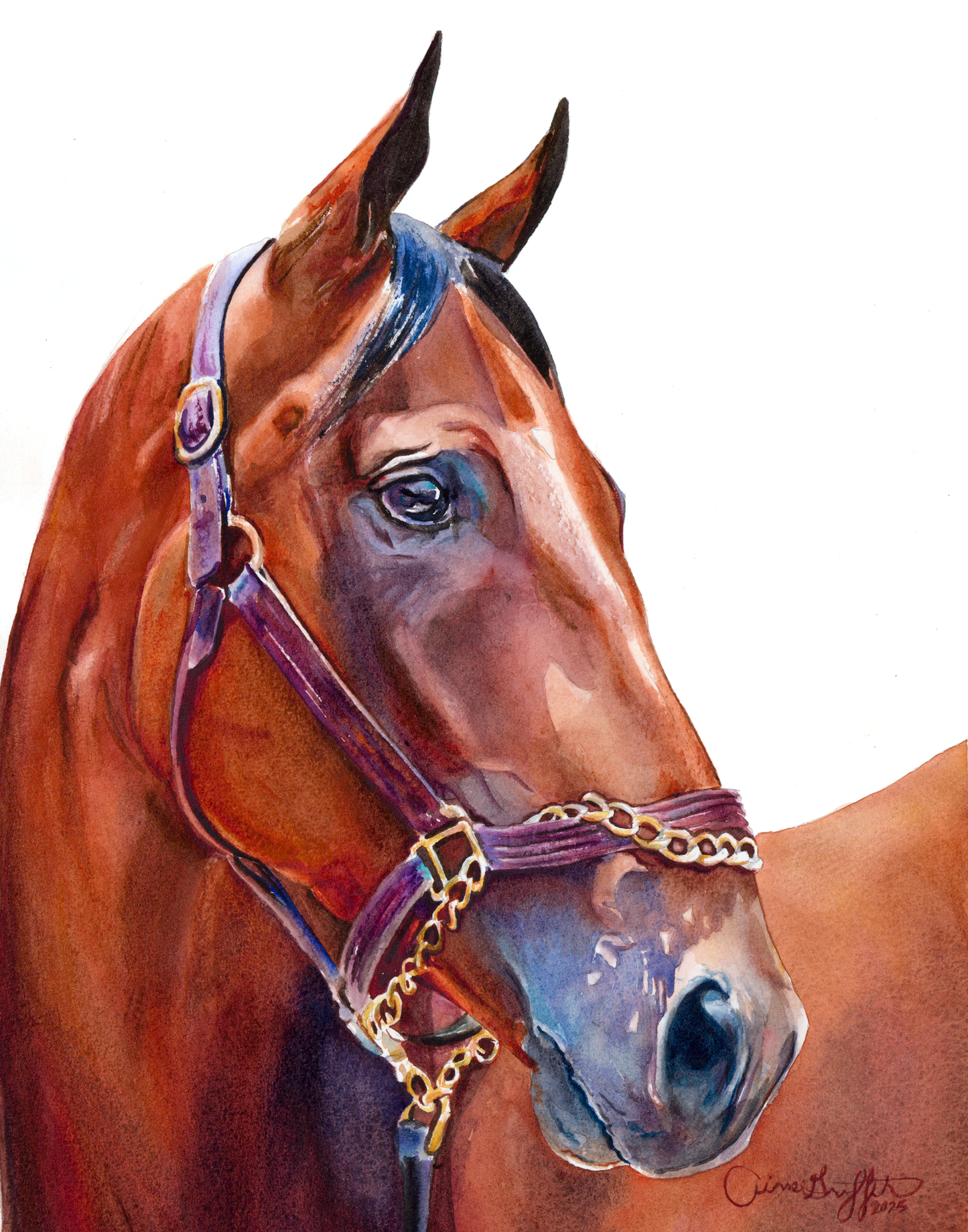 American Pharoah: The Legend (white background)