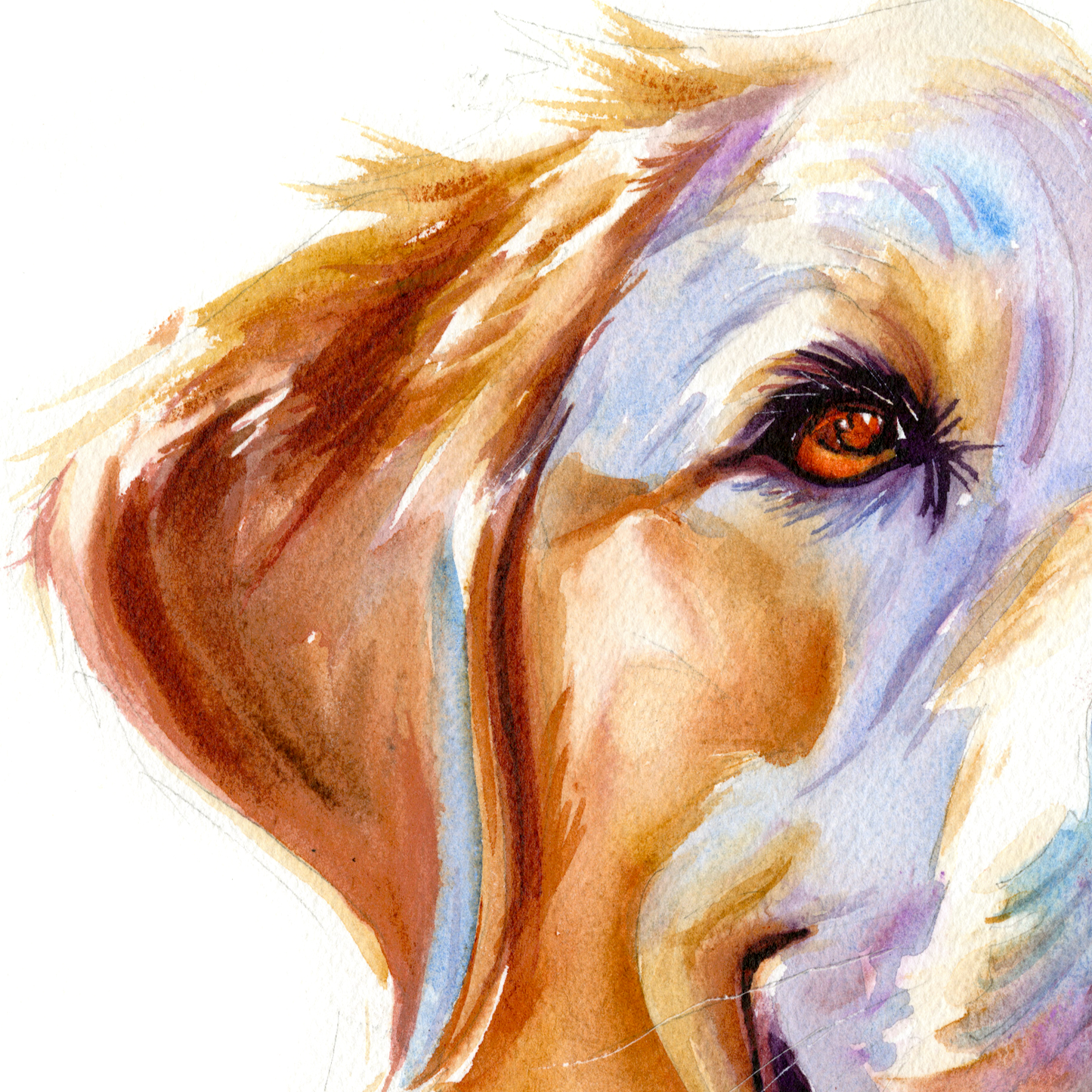 Sunny Days: Loyal & Loving Golden Labrador