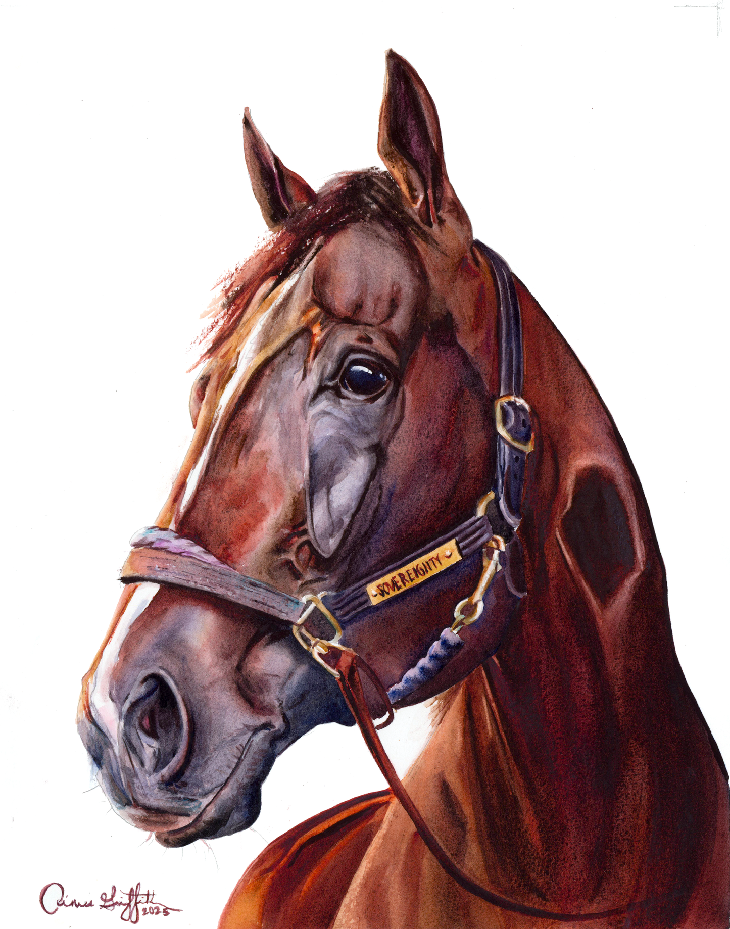 Sovereignty Reigns Watercolor Horse Portrait (White Background)