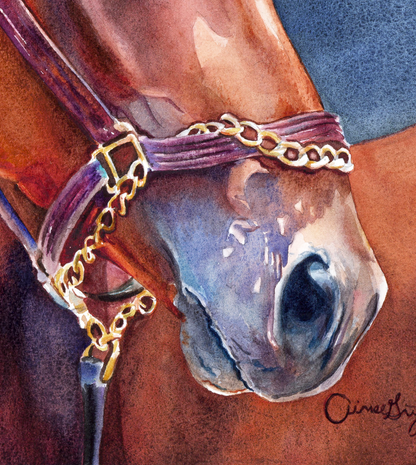 American Pharoah: The Legend