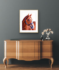 Justify - The Triple Crown Champion with white background