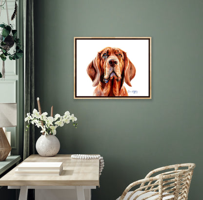 Eyes of Loyalty Bloodhound dog portrait