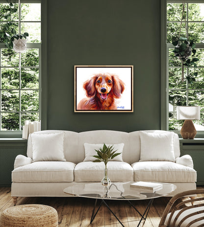 Long-Haired Dachshund Radiant Smile dog portrait