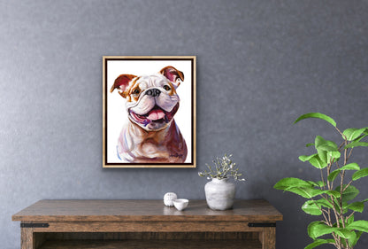 Meet Frenchie - French Bulldog Portrait