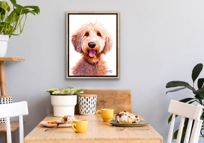 Doodle Dan - portrait of a golden doodle / labradoodle