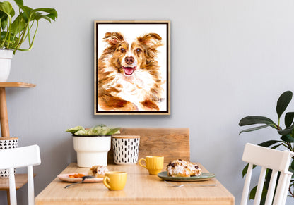 Joy of the Australian Shepherd, Miniature American Shepherd dog portrait