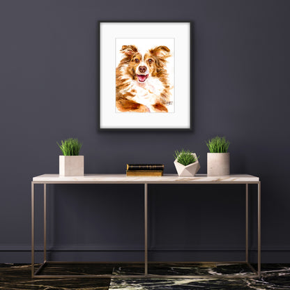 Joy of the Australian Shepherd, Miniature American Shepherd dog portrait