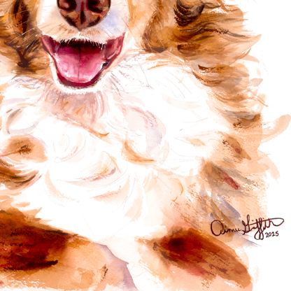 Joy of the Australian Shepherd, Miniature American Shepherd dog portrait