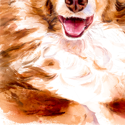 Joy of the Australian Shepherd, Miniature American Shepherd dog portrait