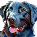 Midnight Blue: Loyal Smile of a Black Labrador -