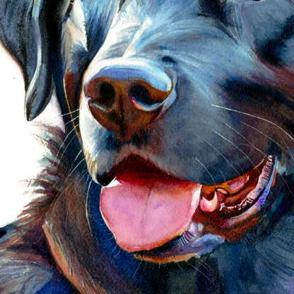 Midnight Blue: Loyal Smile of a Black Labrador -