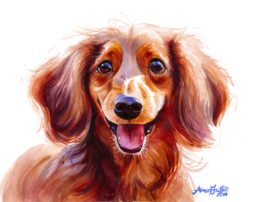 Long-Haired Dachshund Radiant Smile dog portrait