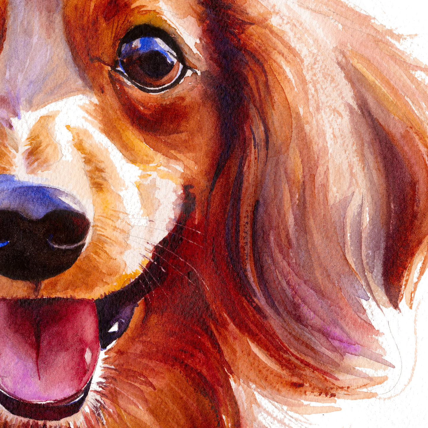 Long-Haired Dachshund Radiant Smile dog portrait