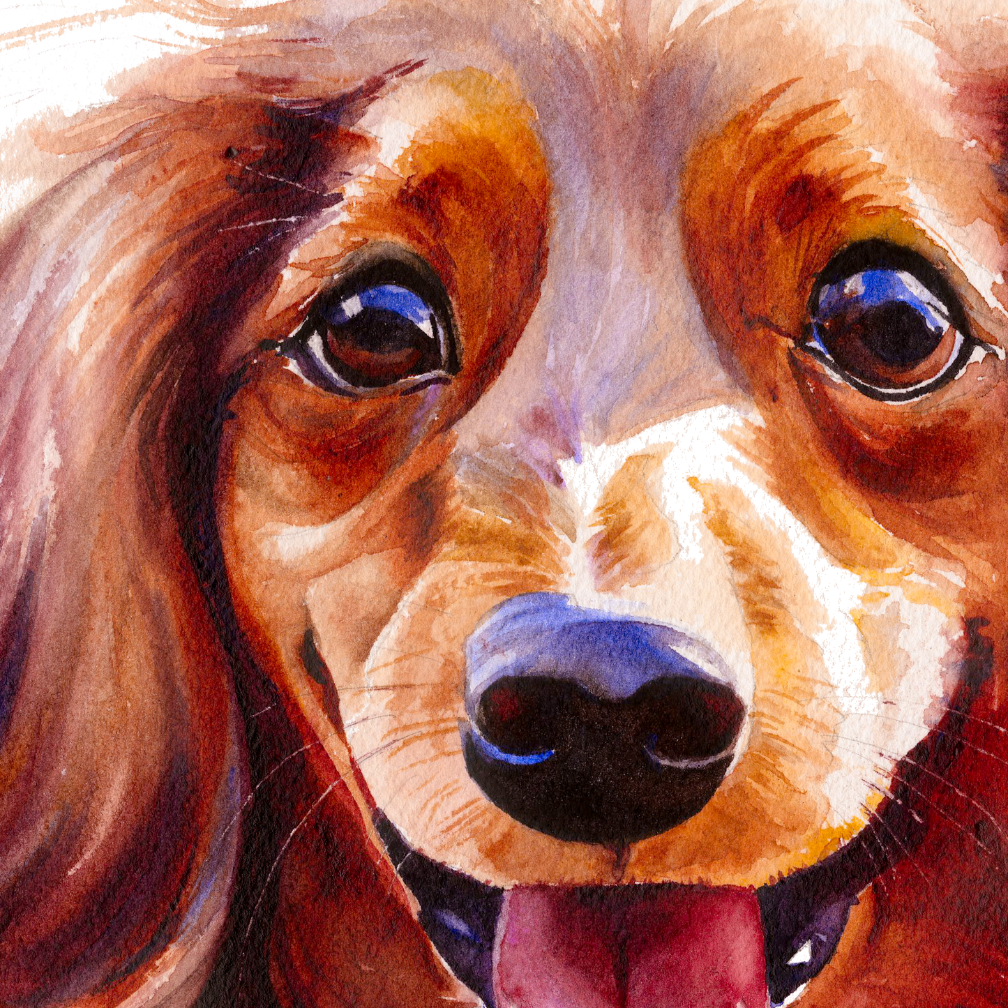 Long-Haired Dachshund Radiant Smile dog portrait