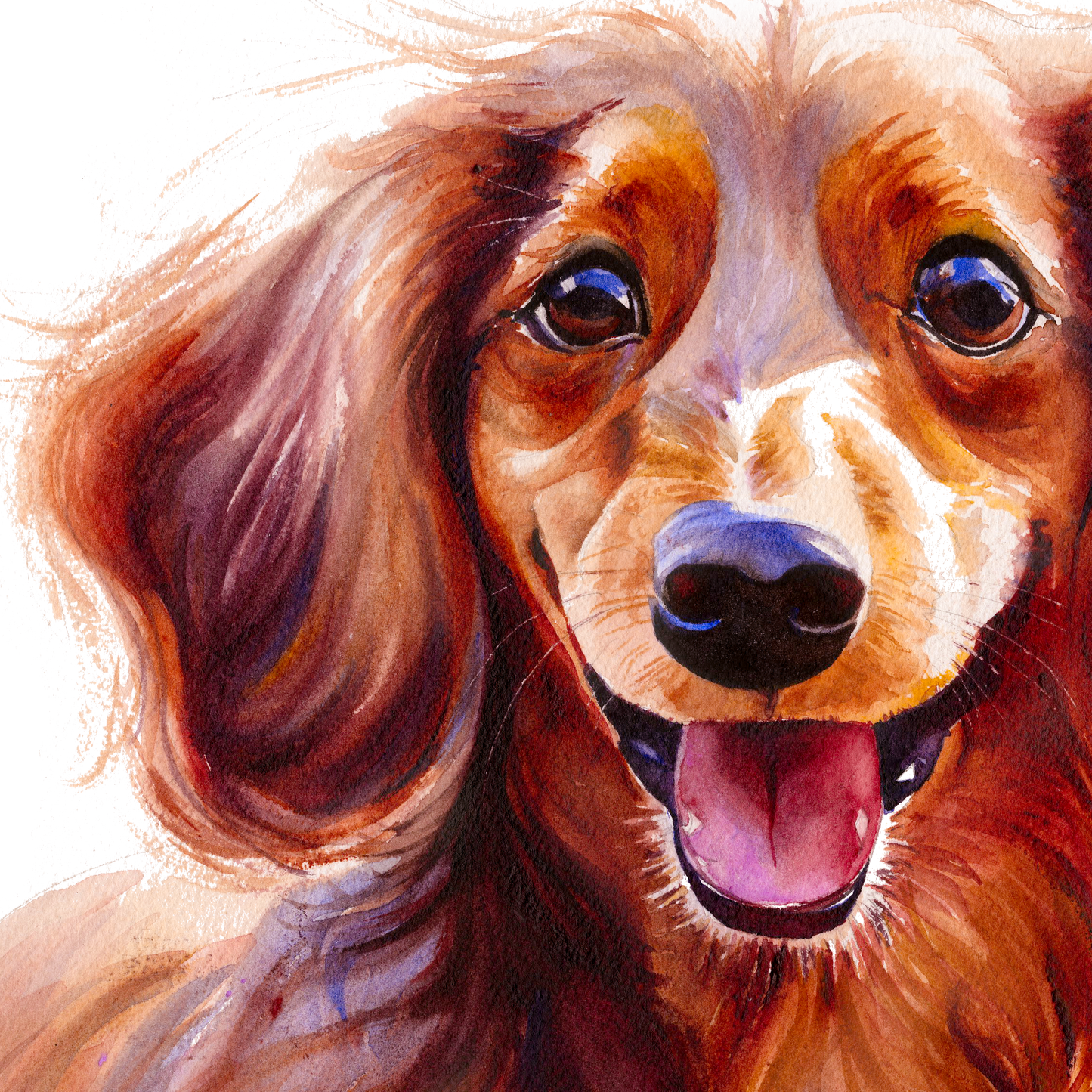 Long-Haired Dachshund Radiant Smile dog portrait