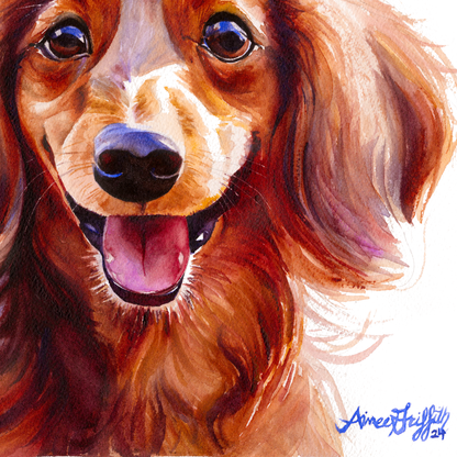 Long-Haired Dachshund Radiant Smile dog portrait