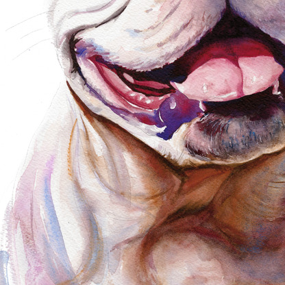 Meet Frenchie - French Bulldog Portrait