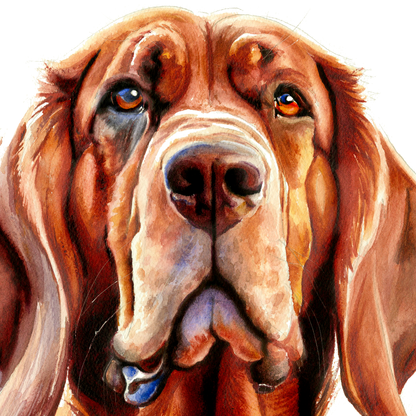 Eyes of Loyalty Bloodhound dog portrait