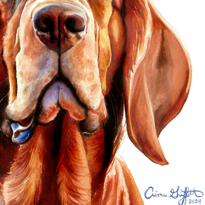 Eyes of Loyalty Bloodhound dog portrait