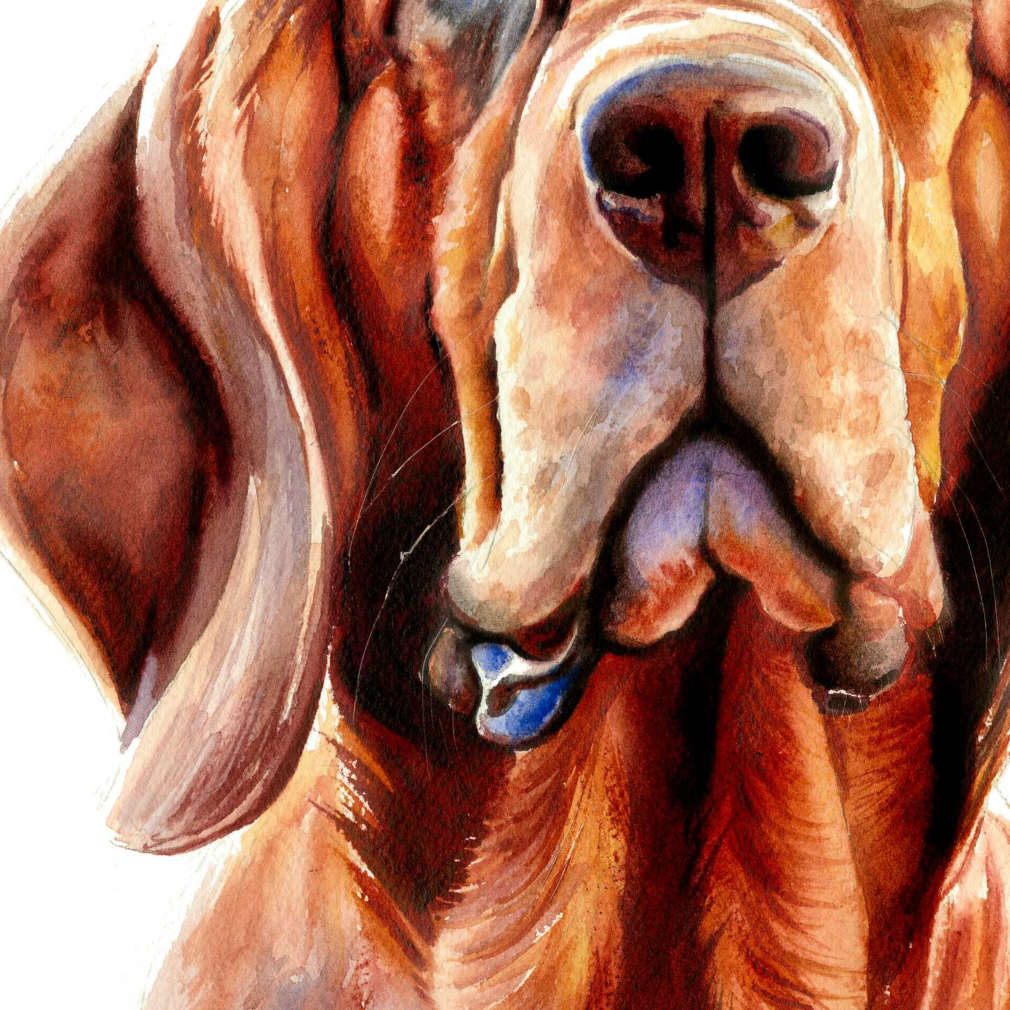 Eyes of Loyalty Bloodhound dog portrait