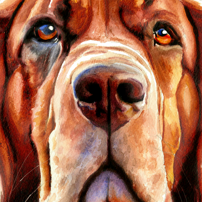 Eyes of Loyalty Bloodhound dog portrait