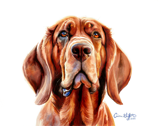 Eyes of Loyalty Bloodhound dog portrait