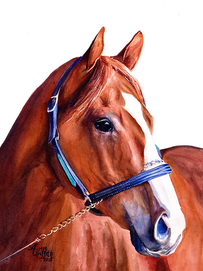 Justify - The Triple Crown Champion with white background