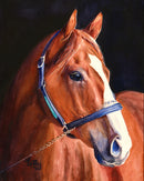 "Justify" Equestrian Art Print