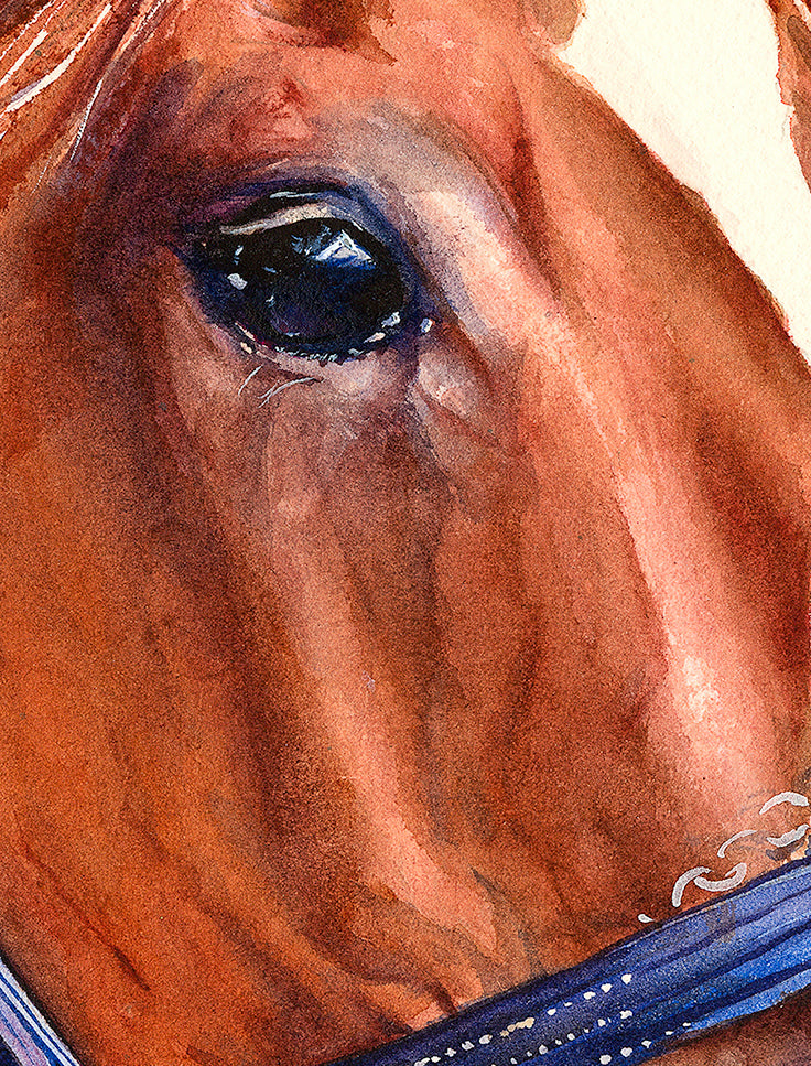 "Justify" Equestrian Art Print