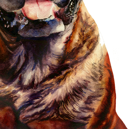 Gentle Giant Bullmastiff Boxer dog portrait - the friendly bull mastiff