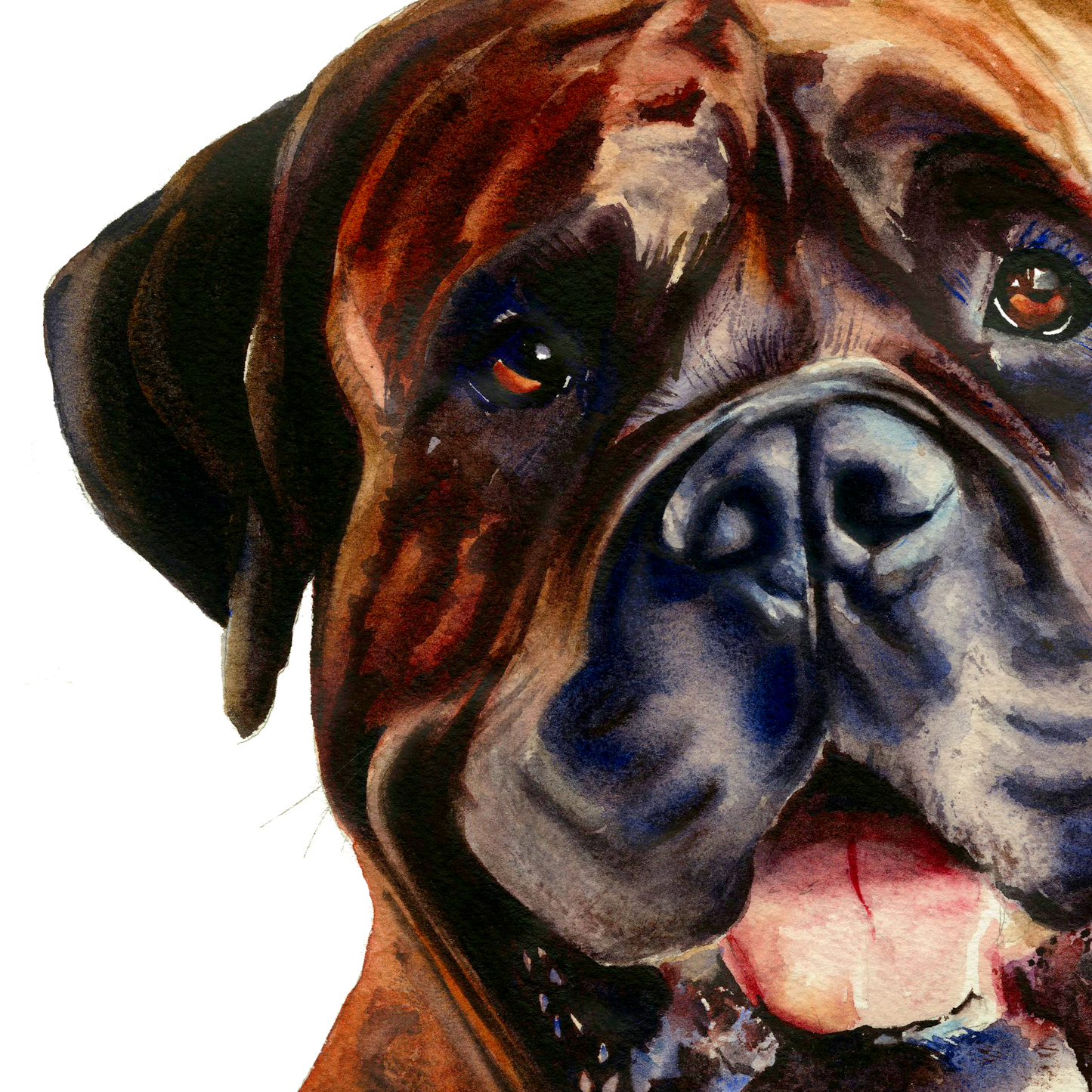 Gentle Giant Bullmastiff Boxer dog portrait - the friendly bull mastiff