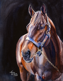 Majestic Bay - A Captivating Watercolor Portrait of a Thoroughbred Racehorse